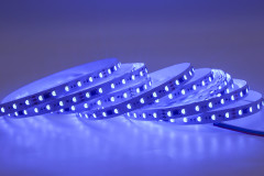DC24V UCS2904 5050 RGBW 72LEDs/m 12Pixels/m Addressable 12mm Wide Digital LED Strip,Whymelighting – Pro LED Strips & Diffused Blocks, Factory Direct,DC24V UCS2904 5050 RGBW 72LEDs/m 12Pixels/m Addressable 12mm Wide Digital LED Strip