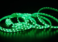 DC12V WS2811 5050 RGB LED Strip 72LEDs  Addressable 8mm Narrow Flex Tape Light,Whymelighting – Pro LED Strips & Diffused Blocks, Factory Direct,DC12V WS2811 5050 RGB LED Strip 72LEDs  Addressable 8mm Narrow Flex Tape Light