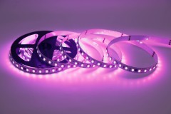 UCS2904 5050 RGBW 10 Segments 60 LEDs 24V Addressable LED Strip Light 10mm,Whymelighting – Pro LED Strips & Diffused Blocks, Factory Direct,UCS2904 5050 RGBW 10 Segments 60 LEDs 24V Addressable LED Strip Light 10mm