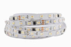 FW1906 5050 RGBWW RGBCCT 10 Pixel 60 LEDs 24V 10mm Addressable LED Strip,Whymelighting – Pro LED Strips & Diffused Blocks, Factory Direct,FW1906 5050 RGBWW RGBCCT 10 Pixel 60 LEDs 24V 10mm Addressable LED Strip