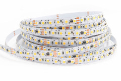 DC24V FW1934A 2835 led strip 120LEDs 20Pixels/m Single Color Addressable 8mm,Whymelighting – Pro LED Strips & Diffused Blocks, Factory Direct,DC24V FW1934A 2835 led strip 120LEDs 20Pixels/m Single Color Addressable 8mm