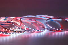FW1934A 2835 RGB LED Strip Light 12V 8mm Bare Board 96LEDs Full Color Neon Flex Tape,Whymelighting – Pro LED Strips & Diffused Blocks, Factory Direct,FW1934A 2835 RGB LED Strip Light 12V 8mm Bare Board 96LEDs Full Color Neon Flex Tape