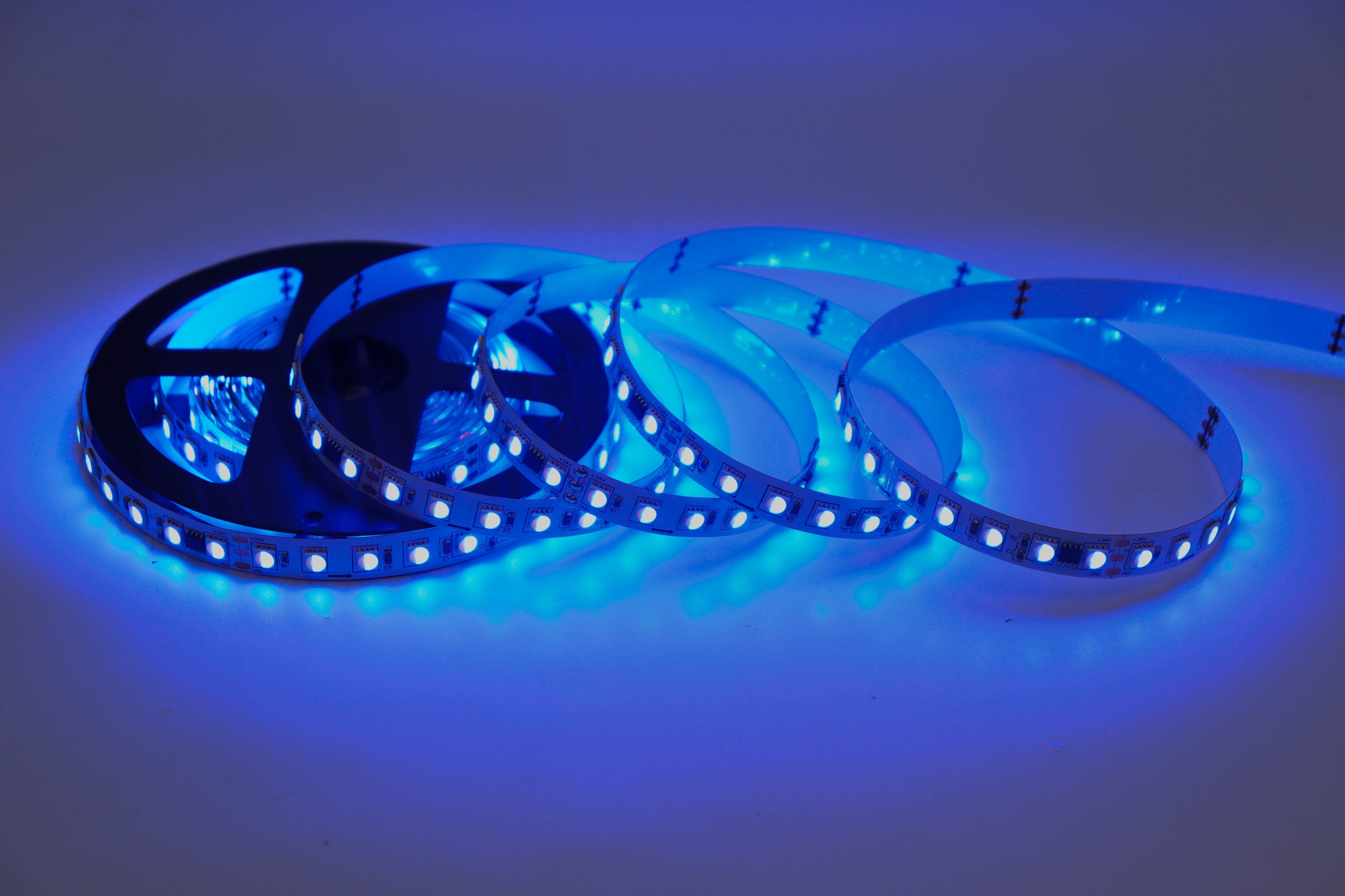 UCS2904 5050 RGBW 10 Segments 60 LEDs 24V Addressable LED Strip Light 10mm,Whymelighting – Pro LED Strips & Diffused Blocks, Factory Direct,UCS2904 5050 RGBW 10 Segments 60 LEDs 24V Addressable LED Strip Light 10mm