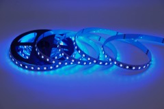 UCS2904 5050 RGBW 10 Segments 60 LEDs 24V Addressable LED Strip Light 10mm,Whymelighting – Pro LED Strips & Diffused Blocks, Factory Direct,UCS2904 5050 RGBW 10 Segments 60 LEDs 24V Addressable LED Strip Light 10mm