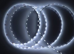 DC12V SM16703 SMD5050 White LED Strip 60LEDs 20Pixels Flexible Tape Light for Decoration,Whymelighting – Pro LED Strips & Diffused Blocks, Factory Direct,DC12V SM16703 SMD5050 White LED Strip 60LEDs 20Pixels Flexible Tape Light for Decoration