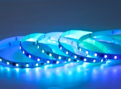 TM1814 5050 RGBW 20 Pixel 60 LEDs 12V 10mm Addressable LED Strip Light Tape,Whymelighting – Pro LED Strips & Diffused Blocks, Factory Direct,TM1814 5050 RGBW 20 Pixel 60 LEDs 12V 10mm Addressable LED Strip Light Tape