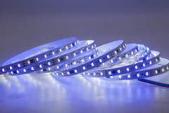DC24V TM1814 5050 RGBW 72LEDs/m 12Pixels/m Addressable 12mm Wide Digital LED Strip,Whymelighting – Pro LED Strips & Diffused Blocks, Factory Direct,DC24V TM1814 5050 RGBW 72LEDs/m 12Pixels/m Addressable 12mm Wide Digital LED Strip