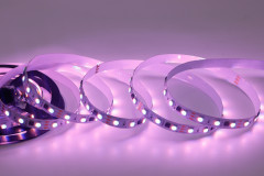 DC24V UCS2904 5050 RGBW 60LEDs/m 10Pixels/m 10mm Wide Digital LED Strip,Whymelighting – Pro LED Strips & Diffused Blocks, Factory Direct,DC24V UCS2904 5050 RGBW 60LEDs/m 10Pixels/m 10mm Wide Digital LED Strip