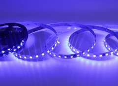 DC24V 10mm Addressable LED Strip SMD 5050 RGB UCS1903B IC 84 LEDs 12 Pixels,Whymelighting – Pro LED Strips & Diffused Blocks, Factory Direct,DC24V 10mm Addressable LED Strip SMD 5050 RGB UCS1903B IC 84 LEDs 12 Pixels