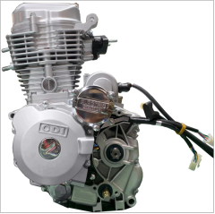 CG250,MY SHOP,CG250-MY SHOP