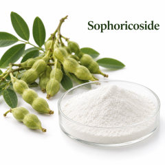 Sophoricoside,MY SHOP,Sophoricoside