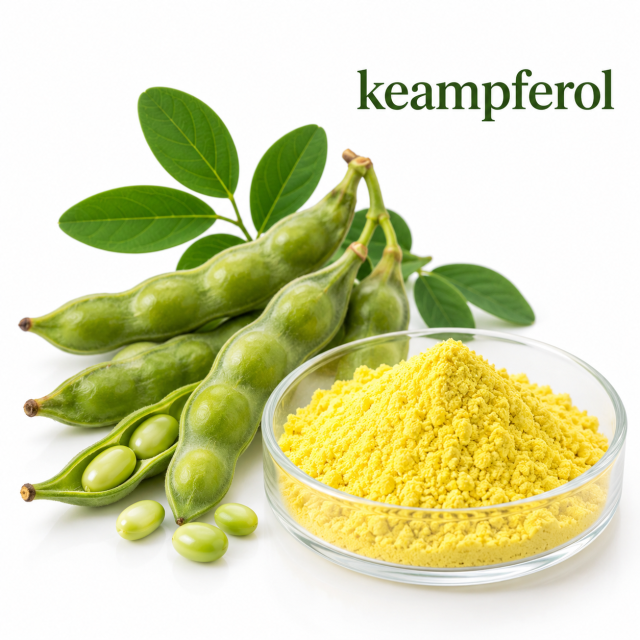 Kaempferol,MY SHOP,Kaempferol