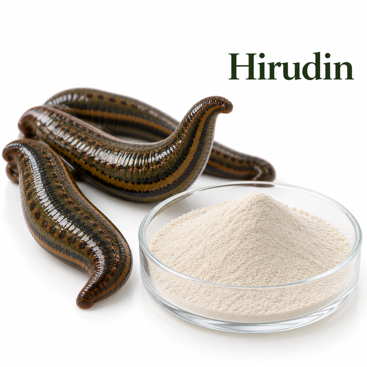 Natural Hirudin,MY SHOP,Natural Hirudin