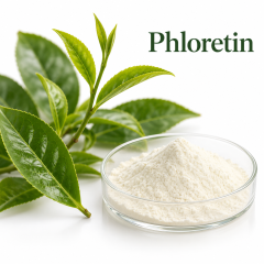 Phloretin,MY SHOP,Phloretin