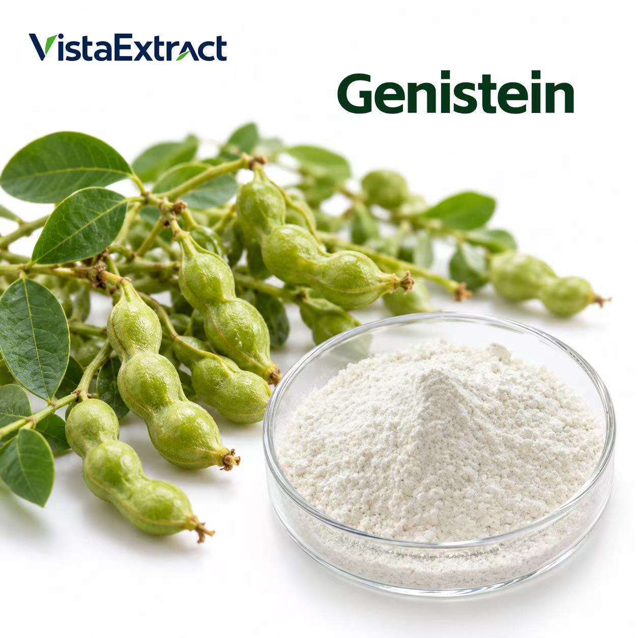 Genistein Extract,VistaExtract,Genistein