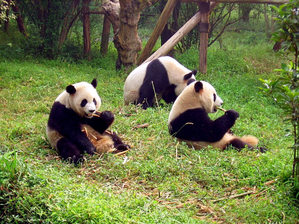 Departing from San Francisco: 12-Day Itinerary Beijing in, Shanghai out · No-shopping tour · Wed & Sat departures