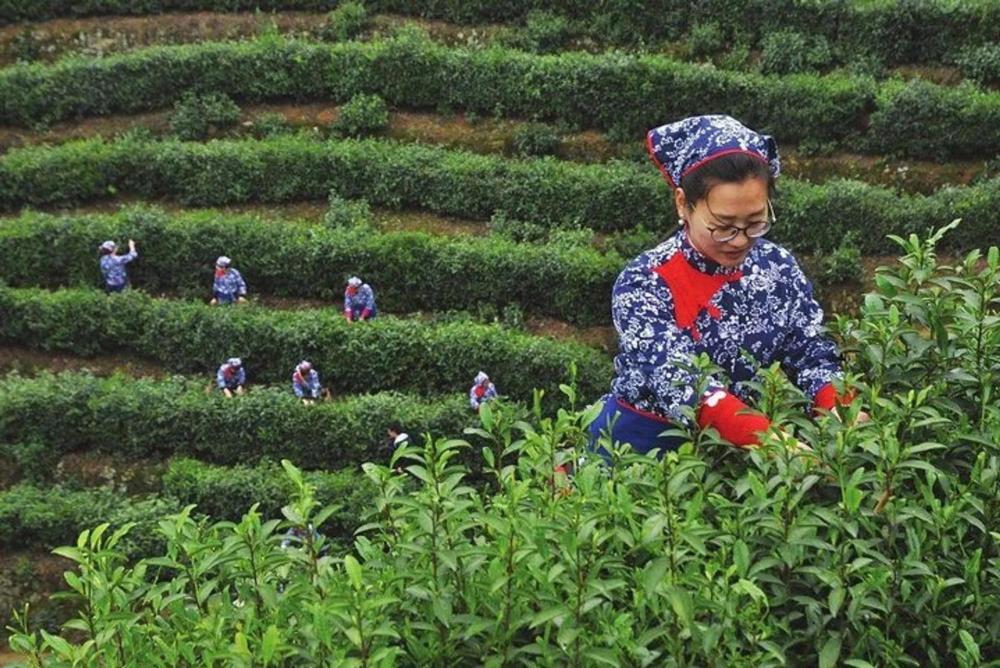 Departing from San Francisco: 12-Day Itinerary Shanghai in, Wuhan out · No-shopping tour · Thursday departures