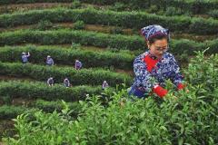 Departing from San Francisco: 12-Day Itinerary Shanghai in, Wuhan out · No-shopping tour · Thursday departures