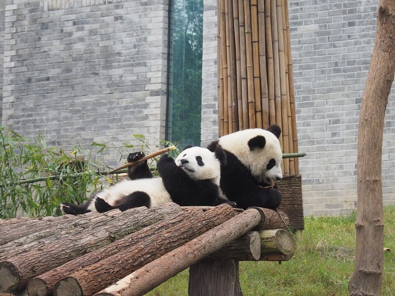 Departing from San Francisco: 12-Day Itinerary Shanghai in, Wuhan out · No-shopping tour · Thursday departures