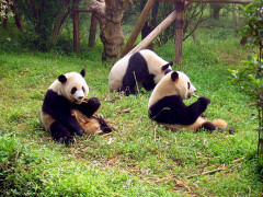 Departing from San Francisco: 12-Day Itinerary Wuhan in, Beijing out · No-shopping tour · Friday departures