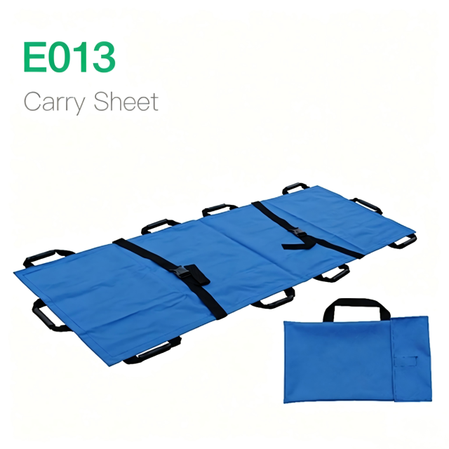 Carry Sheet