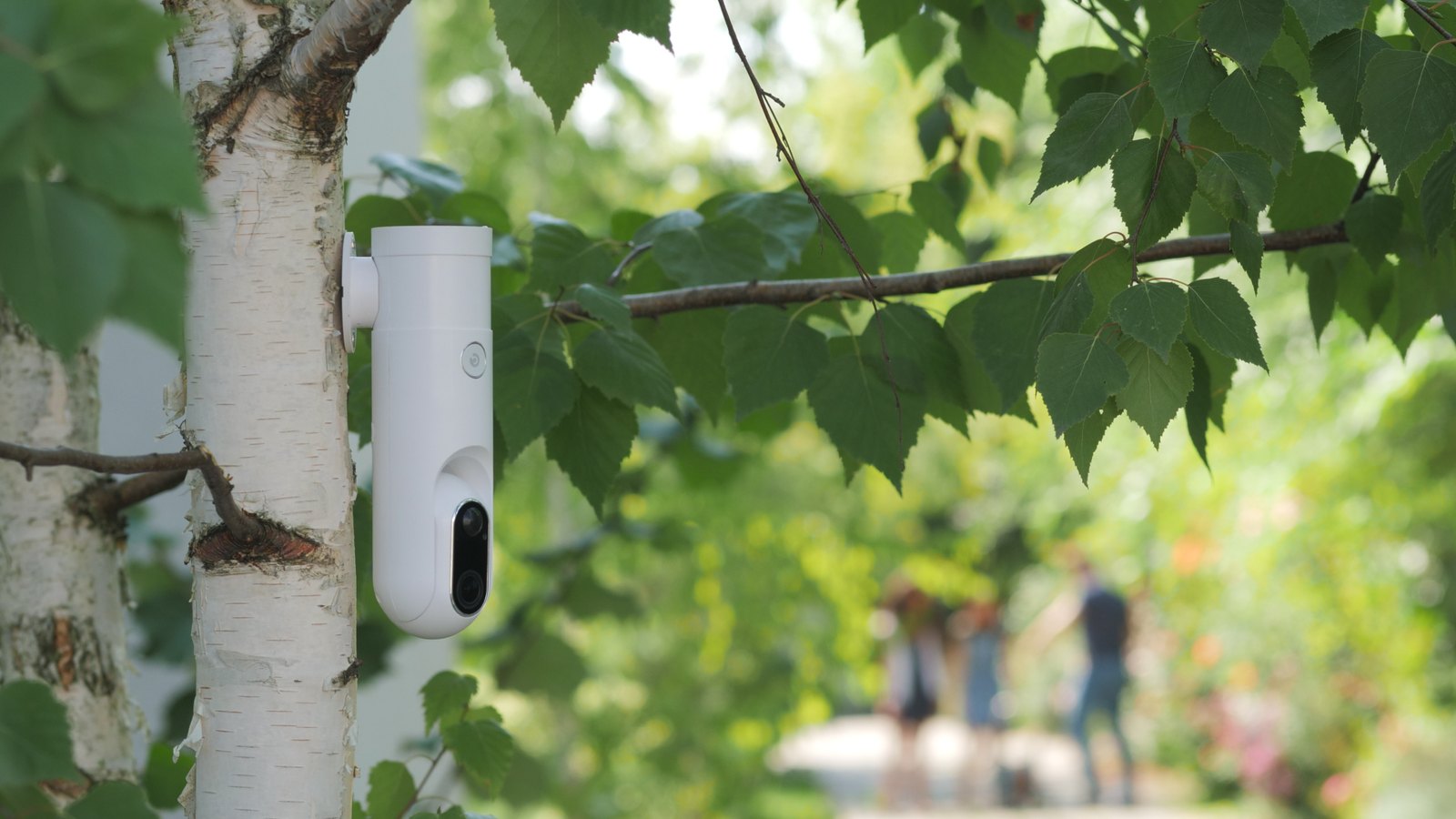 Sticker-Eye camera on a garden tree detecting people walking in the background while ignoring movement in the leaves