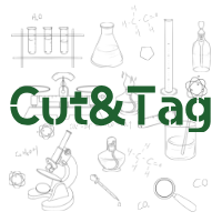 CuT&Tag 快速建库试剂盒-同天生物