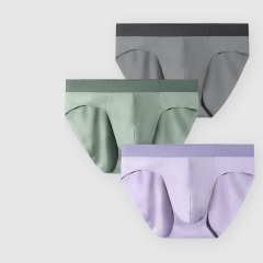 Factory Supply Solid Mens Underwear Modal Boxer Brief High Quality Men's Underwear OEM/ODM Luxury Boxer Shorts