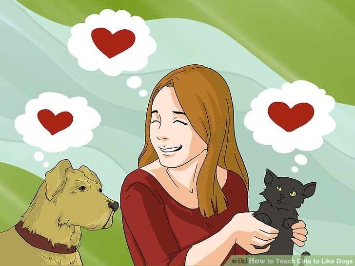 How to Teach Cats to Like Dogs