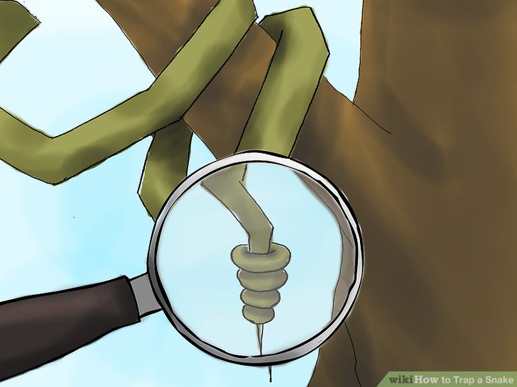 How to Trap a Snake
