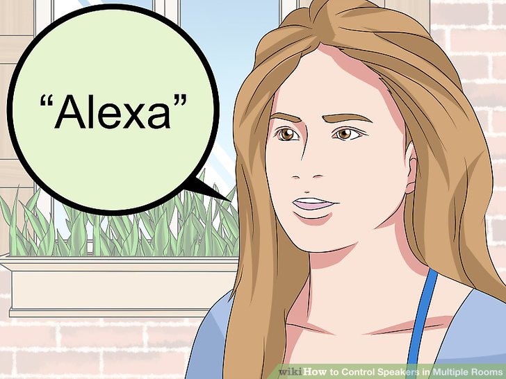 Ask Alexa. Переводчик Алекс белых.