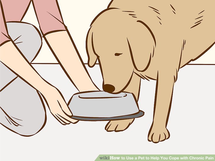 How to Use a Pet to Help You Cope with Chronic Pain