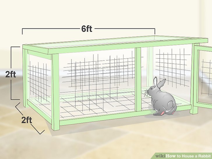 How to House a Rabbit